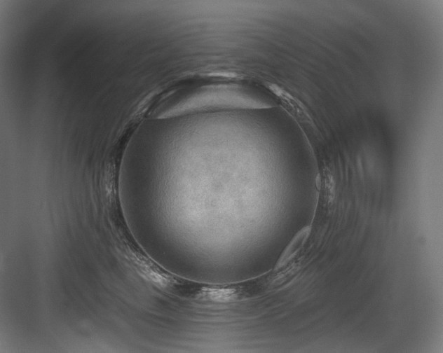 X0000083970665200702161105