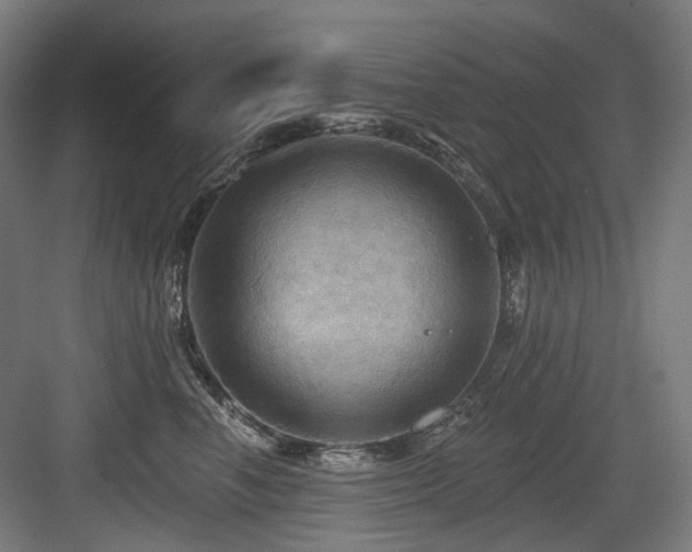 X0000083970666200702161105
