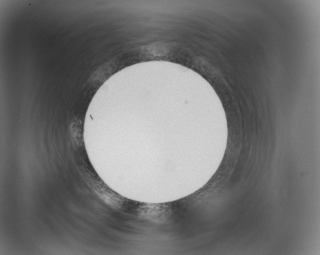 X0000083970672200702161105