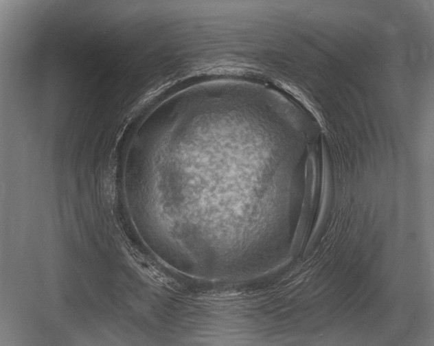 X0000083970675200702161104
