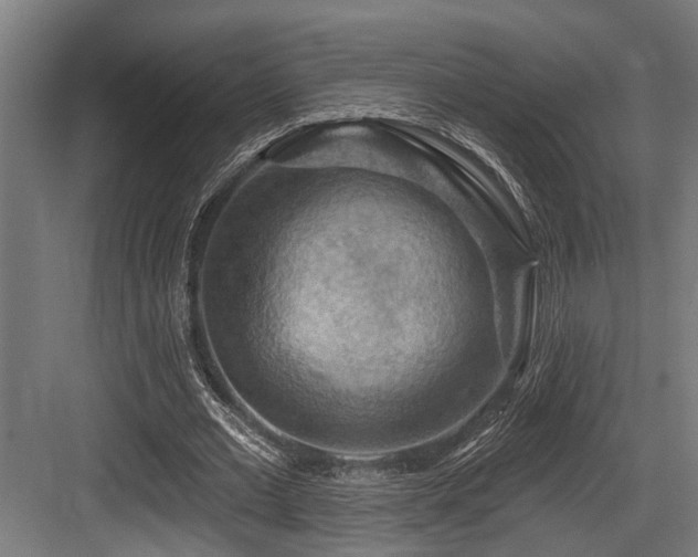 X0000083970677200702161104