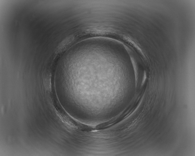 X0000083970685200702161104