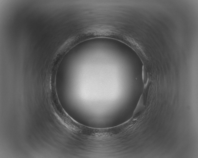 X0000083970686200702161104