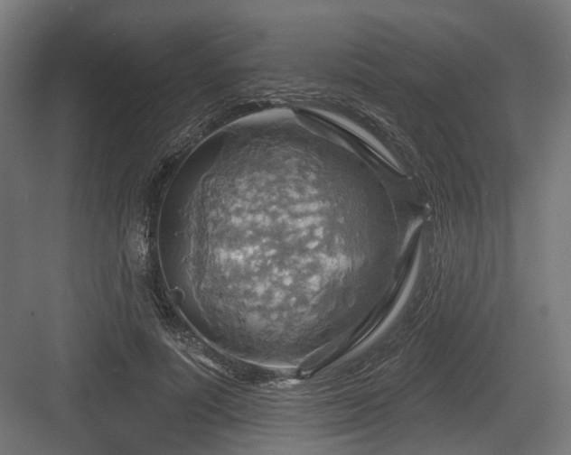 X0000083970691200702161104