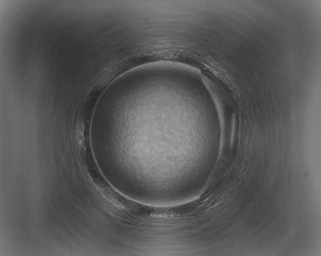 X0000083970693200702161104