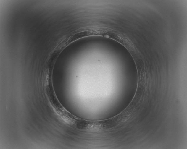 X0000083970694200702161104