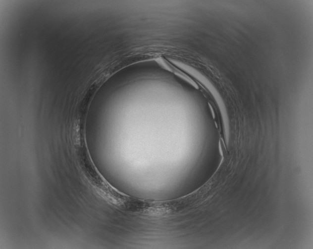 X0000083970696200702161104