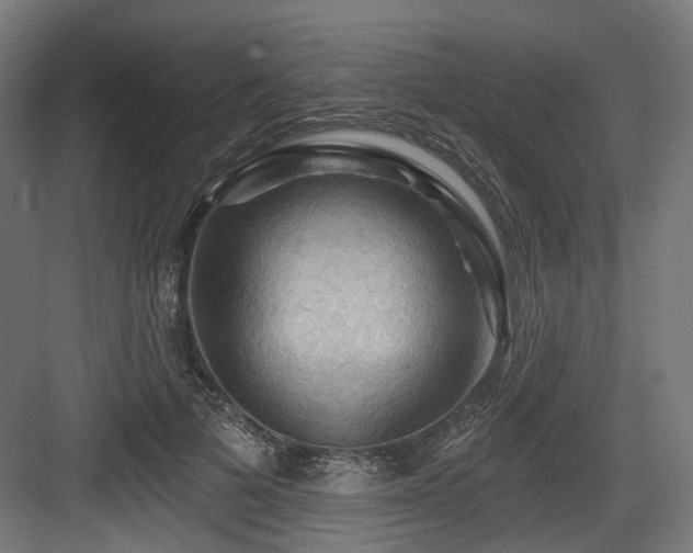 X0000083970697200702161104