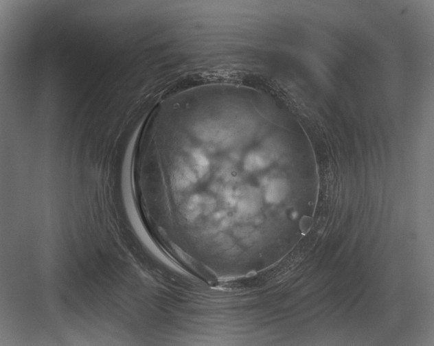 X0000083970699200702161104
