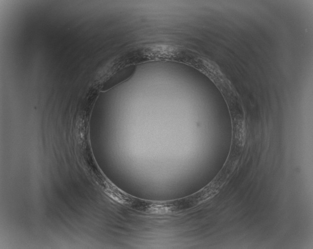 X0000083970701200702161104