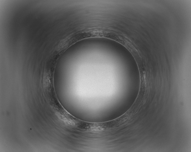 X0000083970702200702161104