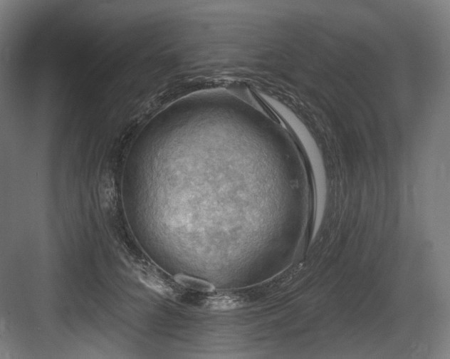 X0000083970704200702161104
