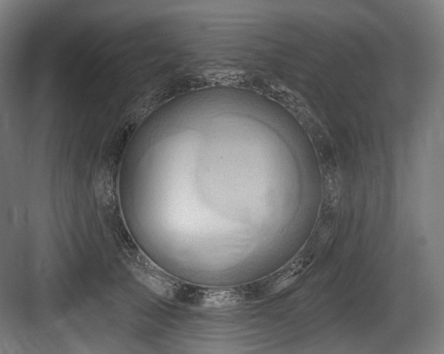 X0000083970705200702161104