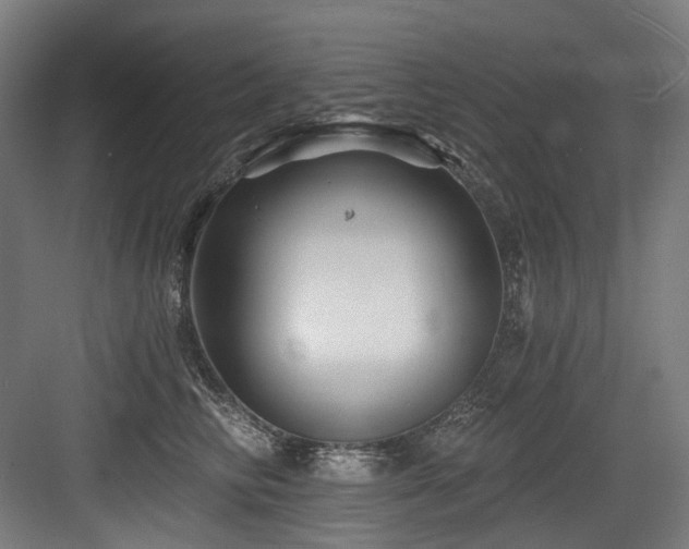X0000083970710200702161104