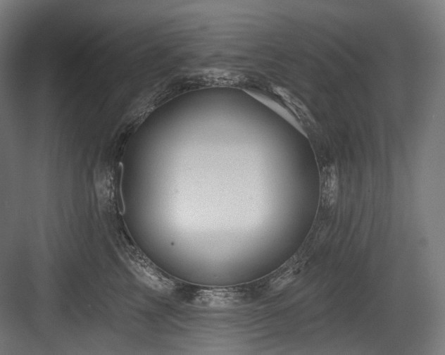 X0000083970713200702161103