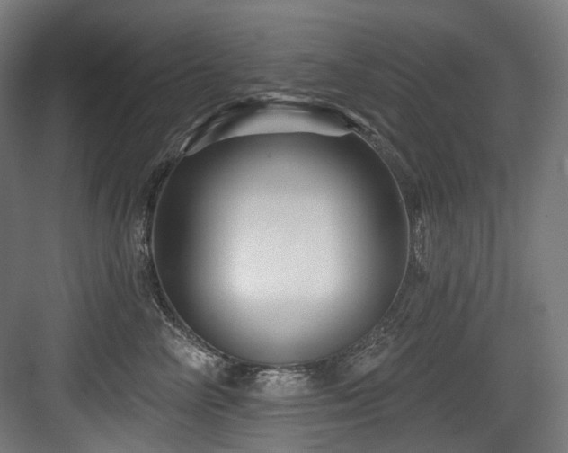 X0000083970714200702161103
