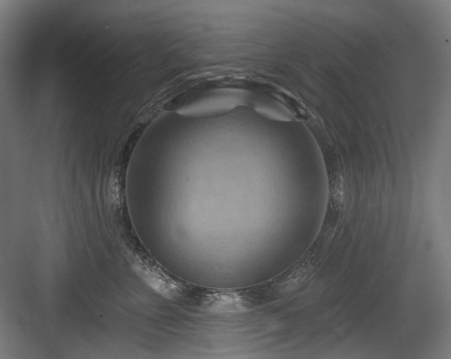 X0000083970715200702161103