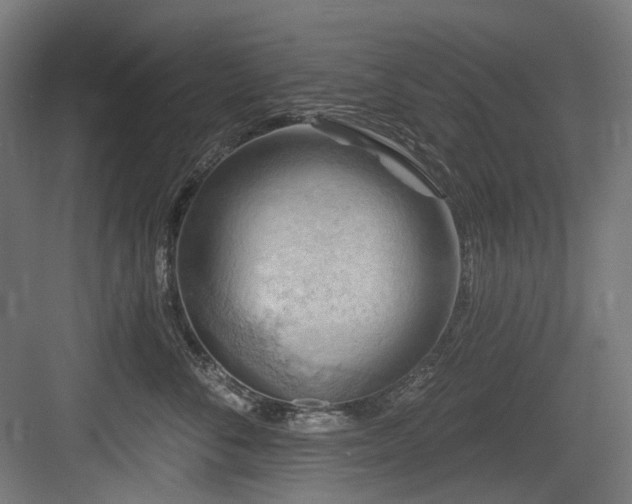 X0000083970716200702161103