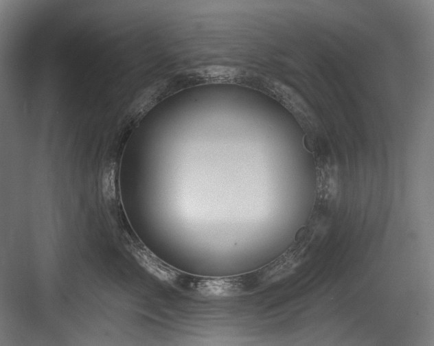 X0000083970717200702161103