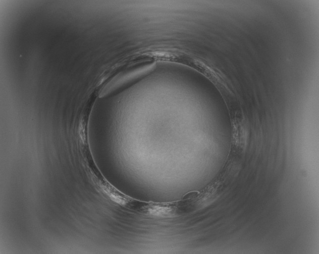 X0000083970718200702161103