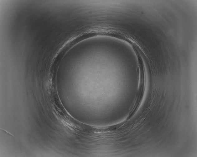 X0000083970723200702161103