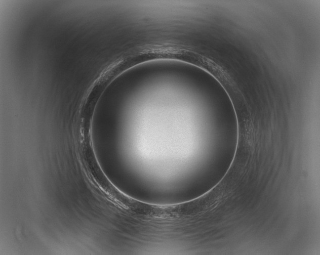 X0000083970731200702161103