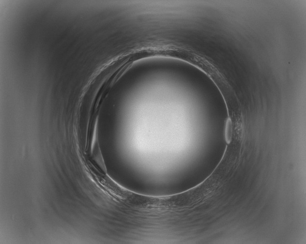 X0000083970732200702161103