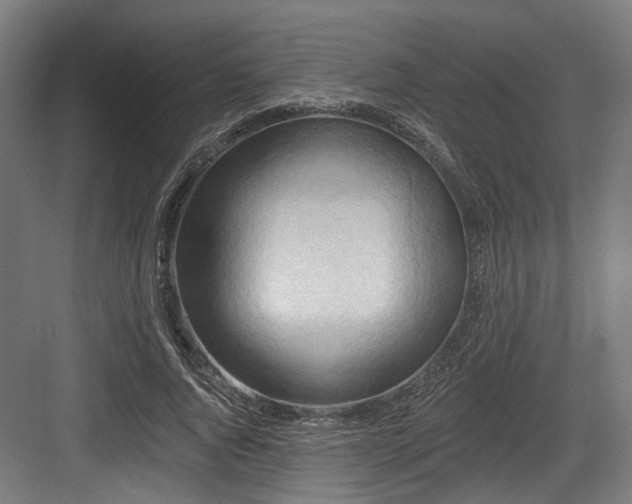 X0000083970736200702161103