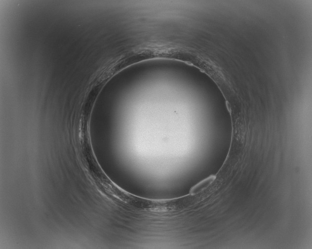 X0000083970740200702161103