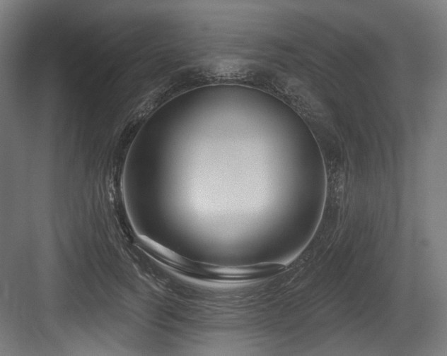 X0000083970746200702161103