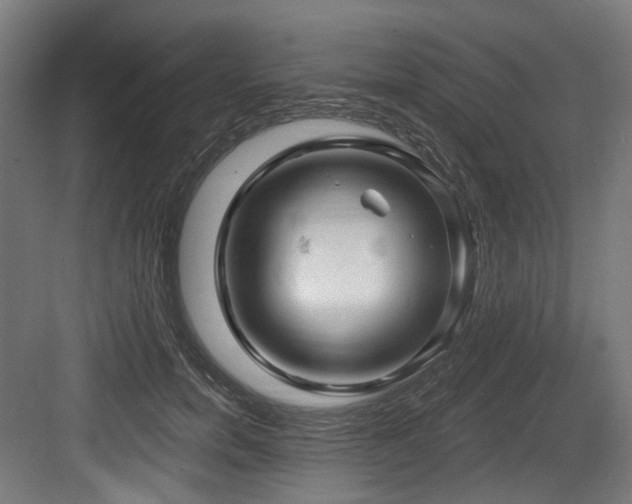 X0000083970750200702161103
