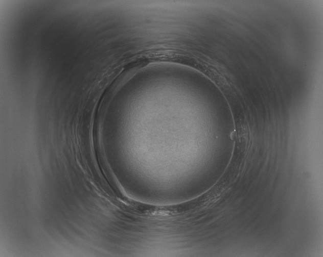 X0000083970751200702161103