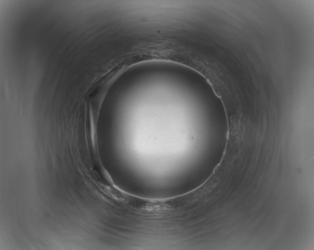 X0000083970752200702161103