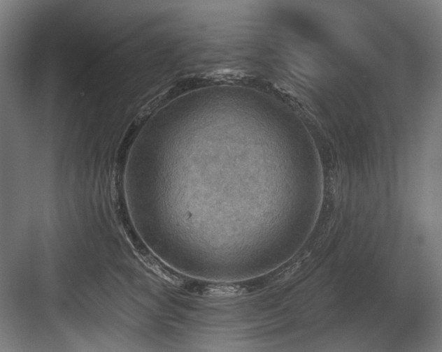 X0000083970757200702161103