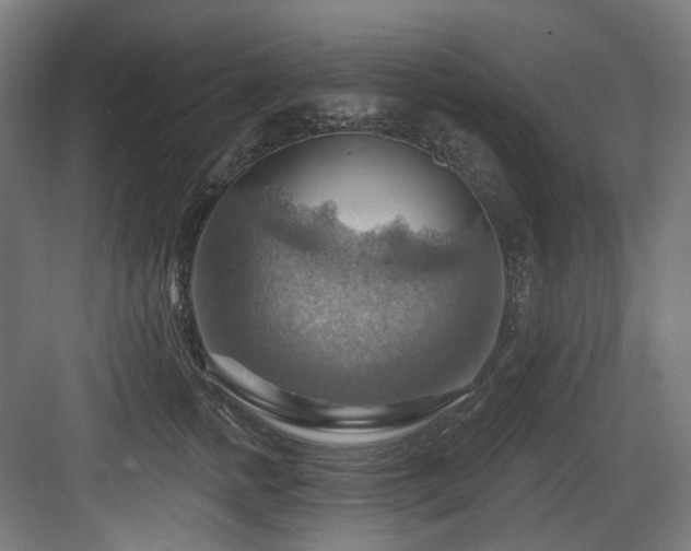 X0000083970758200702161103