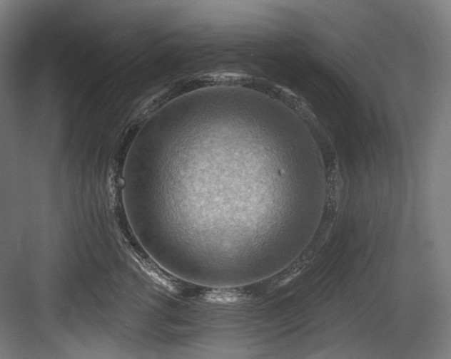 X0000083970762200702161103