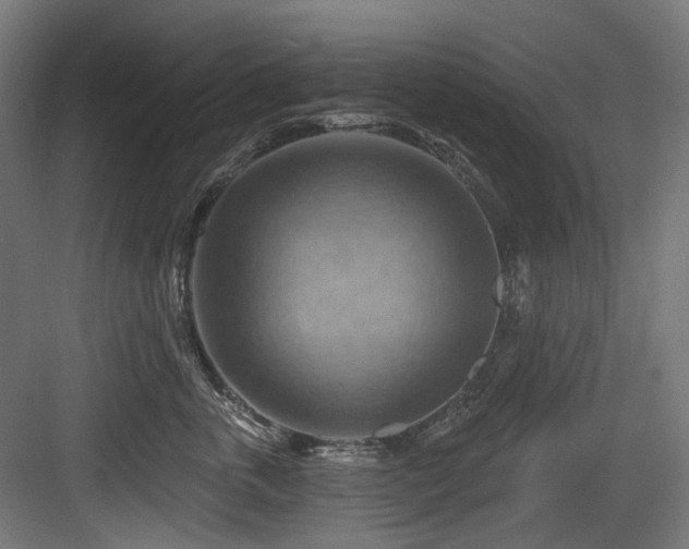 X0000083970763200702161103