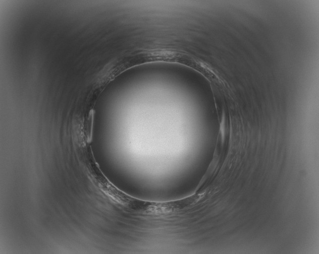 X0000083970764200702161103