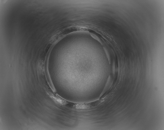 X0000083970766200702161103