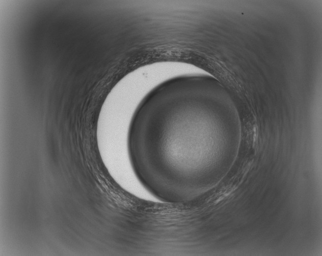 X0000083970769200702161103