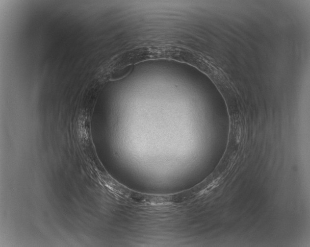 X0000083970770200702161103