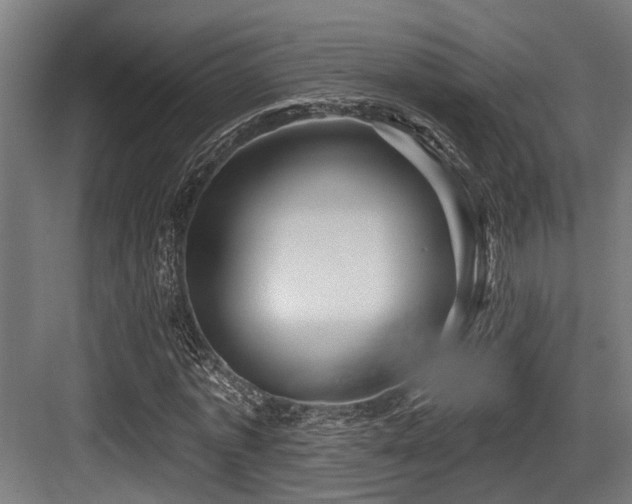 X0000083970773200702161102