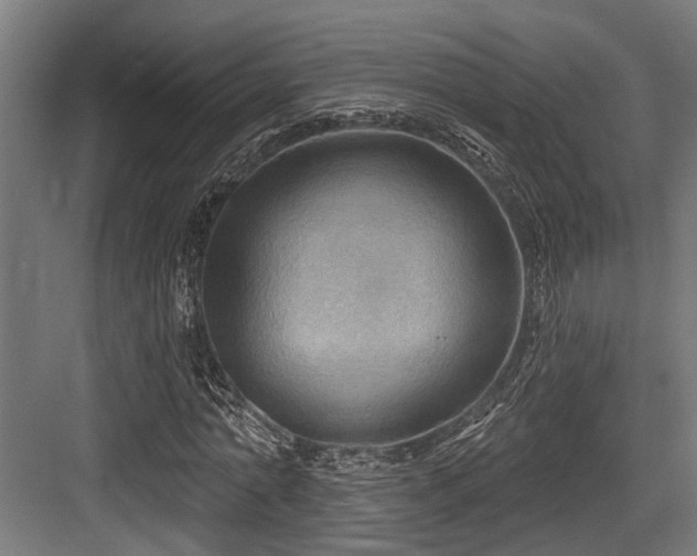X0000083970774200702161102