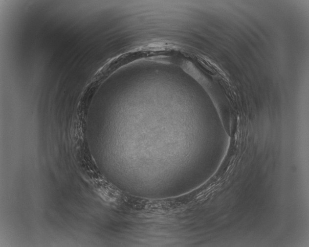 X0000083970776200702161102
