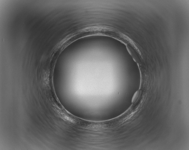 X0000083970778200702161102