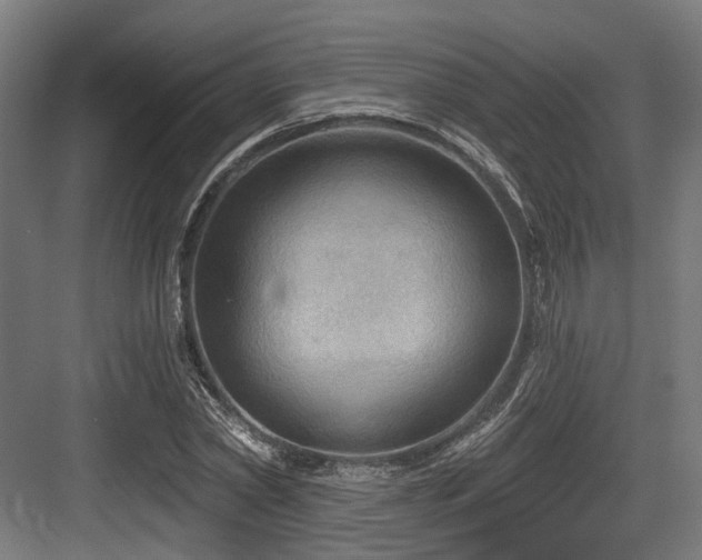 X0000083970782200702161102