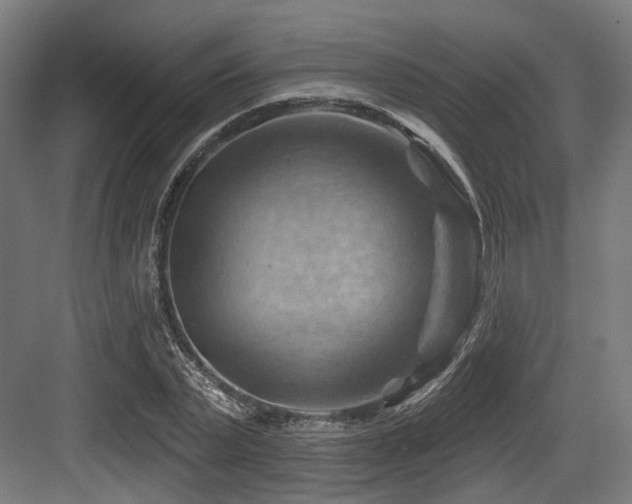 X0000083970783200702161102