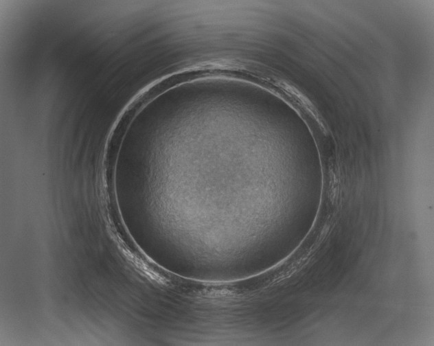 X0000083970784200702161102