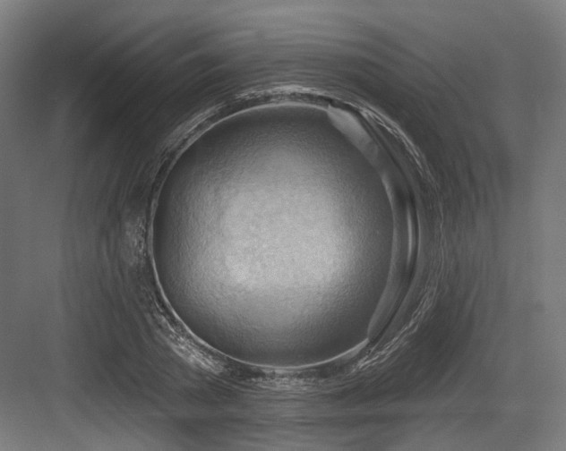 X0000083970785200702161102