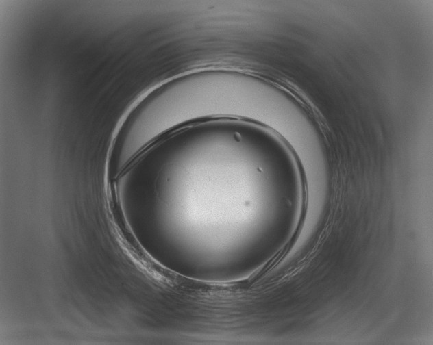 X0000083970788200702161102